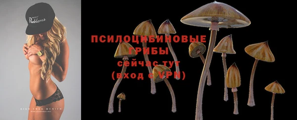 гашик Арсеньев