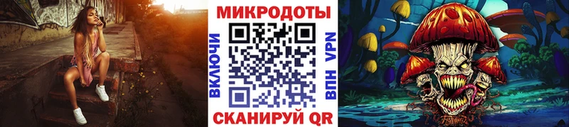 Галлюциногенные грибы Psilocybine cubensis купить наркотики сайты Котлас